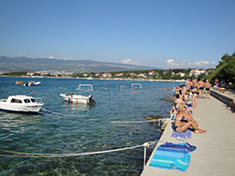 description