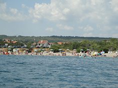 description