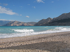 description